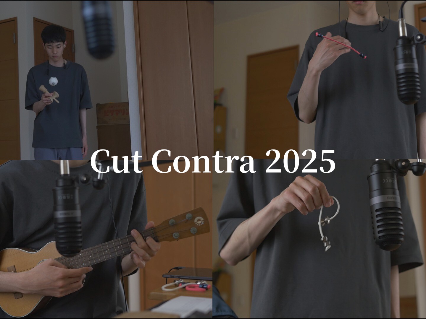 CutContra2025img